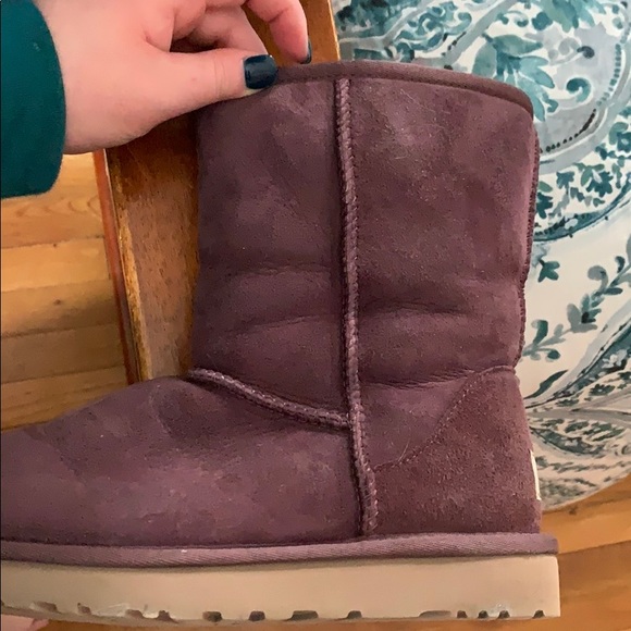 PURPLE SHORT UGGS - Picture 5 of 10